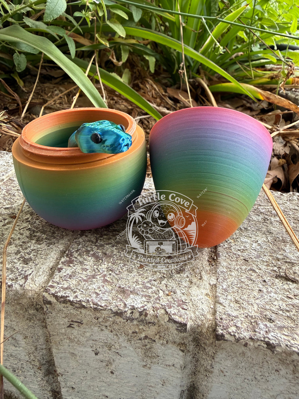 Mystery Snake Egg Surprise